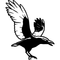 (image for) Crow 2 =