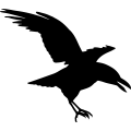(image for) Crow 3a =