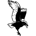 (image for) Crow 4 =
