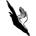 (image for) Crow 9 =