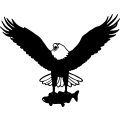 (image for) Eagle 10 =