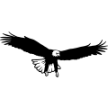 (image for) Eagle 11 =