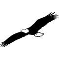 (image for) Eagle 15 =