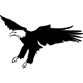 (image for) Eagle 16 =