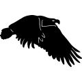 (image for) Eagle 1 =