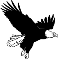 (image for) Eagle 24 =