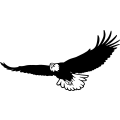 (image for) Eagle 25 =