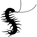 (image for) Centipede 2 =