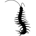 (image for) Centipede 3 =