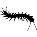 (image for) Centipede 4 _