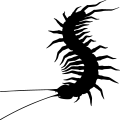 (image for) Centipede 5 _