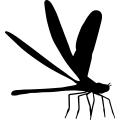 (image for) Damsel Fly 1 =