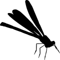 (image for) Damsel Fly 3 =