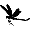 (image for) Dragon Fly 2 =