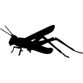 (image for) Grasshopper 2 =
