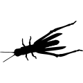 (image for) Grasshopper 4 _