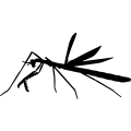 (image for) Praying Mantis 2 =