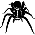 (image for) Spider 1 =
