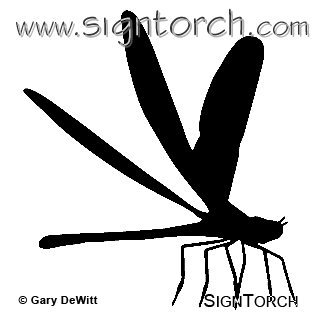 (image for) Damsel Fly 1 =