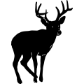 (image for) Buck 1 =