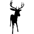 (image for) Buck 20a =