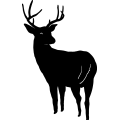 (image for) Buck 2 =