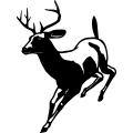 (image for) Buck 31 =