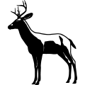 (image for) Buck 32 =