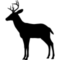 (image for) Buck 32a =