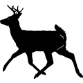 (image for) Buck 3 =