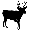(image for) Buck 8 =