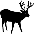 (image for) Buck 9 =