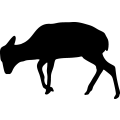 (image for) Deer 45 =