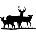 (image for) Deer Family 11 =