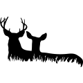 (image for) Deer Family 5 =
