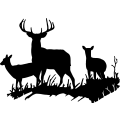 (image for) Deer Family 6 =