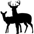 (image for) Deer Family 8 =