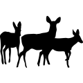 (image for) Deer Family 9 =