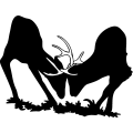 (image for) Deer Fight 3 =