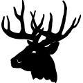 (image for) Deer Head 1 =