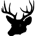 (image for) Deer Head 6 =