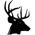 (image for) Deer Head 7 =