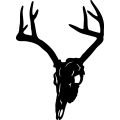(image for) Deer Skull 10 =