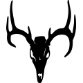 (image for) Deer Skull 3 =