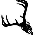 (image for) Deer Skull 5 =