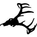 (image for) Deer Skull 6 =