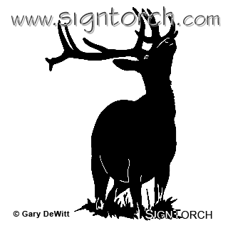 (image for) Elk Bull 2 =