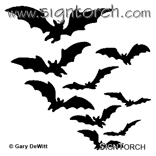 (image for) Bats 1 -