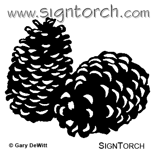 (image for) Pine Cones 1 =