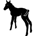 (image for) Horse 10 =